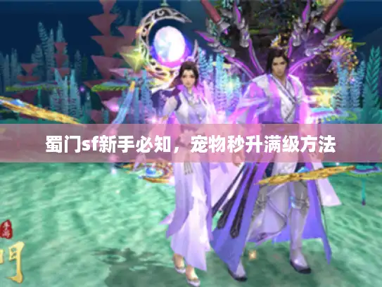蜀门sf新手必知，宠物秒升满级方法