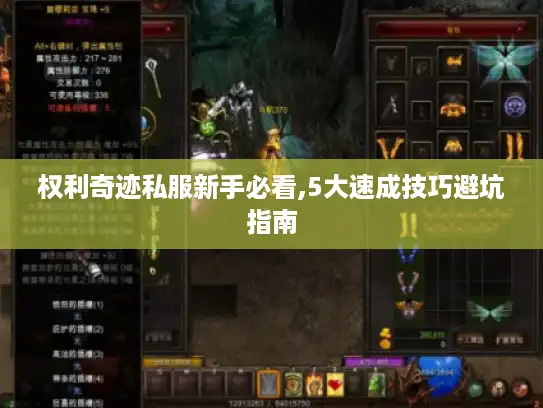 权利奇迹私服新手必看,5大速成技巧避坑指南