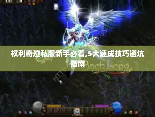权利奇迹私服新手必看,5大速成技巧避坑指南