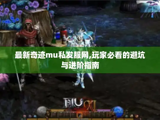最新奇迹mu私发服网,玩家必看的避坑与进阶指南