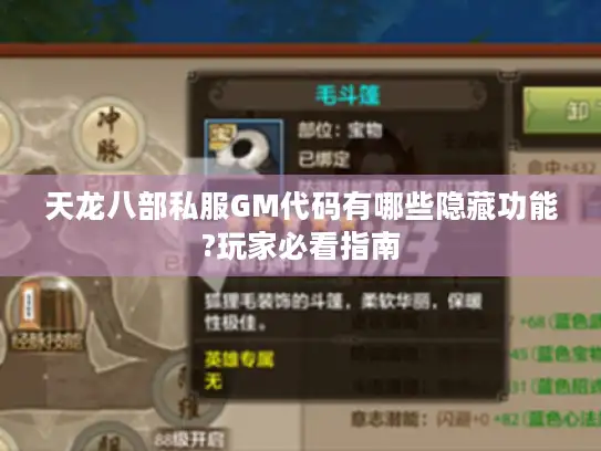 天龙八部私服GM代码有哪些隐藏功能?玩家必看指南