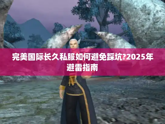 完美国际长久私服如何避免踩坑?2025年避雷指南