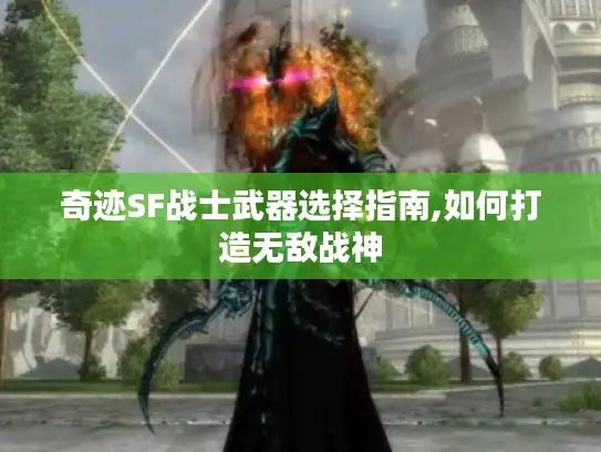 奇迹SF战士武器选择指南,如何打造无敌战神