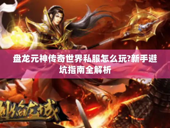 盘龙元神传奇世界私服怎么玩?新手避坑指南全解析