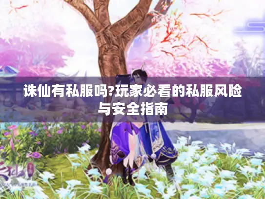 诛仙有私服吗?玩家必看的私服风险与安全指南