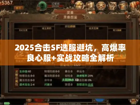 2025合击SF选服避坑，高爆率良心服+实战攻略全解析