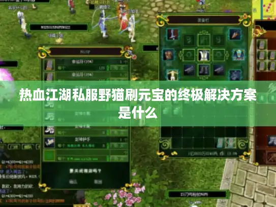 热血江湖私服野猫刷元宝的终极解决方案是什么 热血江湖私服野猫刷元宝的终极解决方案是什么