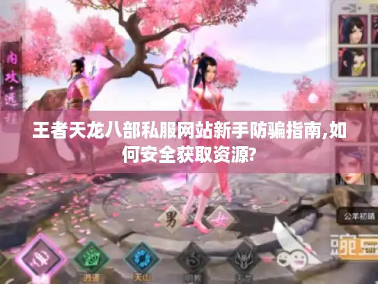王者天龙八部私服网站新手防骗指南,如何安全获取资源?