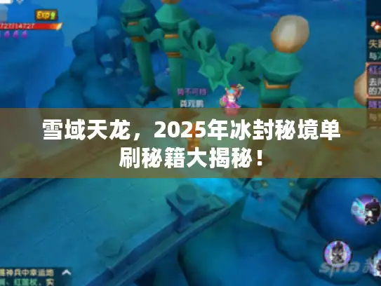雪域天龙，2025年冰封秘境单刷秘籍大揭秘！