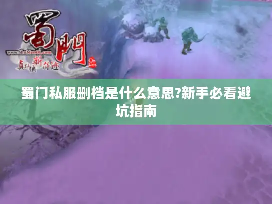 蜀门私服删档是什么意思?新手必看避坑指南