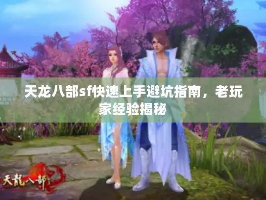 天龙八部sf快速上手避坑指南，老玩家经验揭秘
