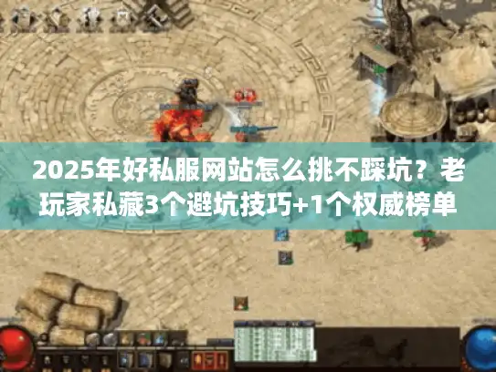 2025年好私服网站怎么挑不踩坑？老玩家私藏3个避坑技巧+1个权威榜单