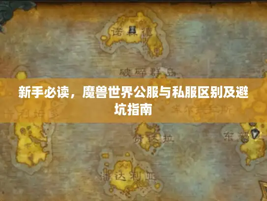 新手必读，魔兽世界公服与私服区别及避坑指南
