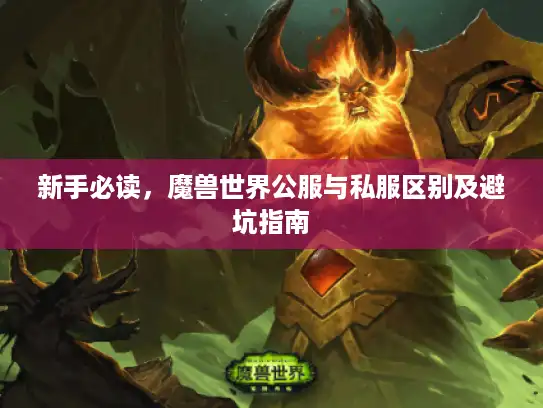 新手必读，魔兽世界公服与私服区别及避坑指南