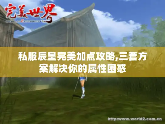 私服辰皇完美加点攻略,三套方案解决你的属性困惑