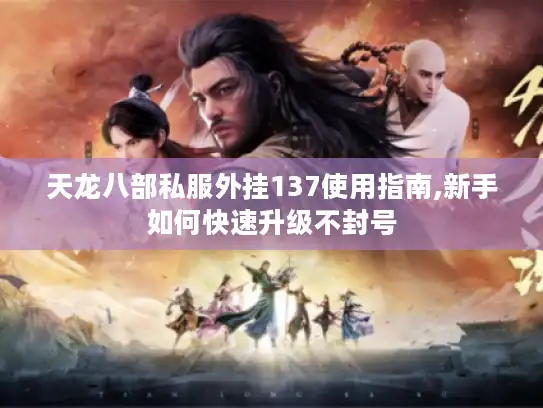 天龙八部私服外挂137使用指南,新手如何快速升级不封号
