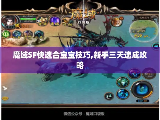 魔域SF快速合宝宝技巧,新手三天速成攻略 魔域SF快速合宝宝技巧,新手三天速成攻略