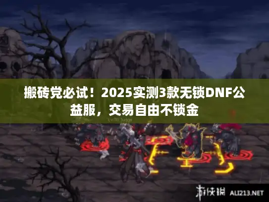 搬砖党必试！2025实测3款无锁DNF公益服，交易自由不锁金