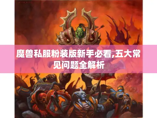 魔兽私服粉装版新手必看,五大常见问题全解析
