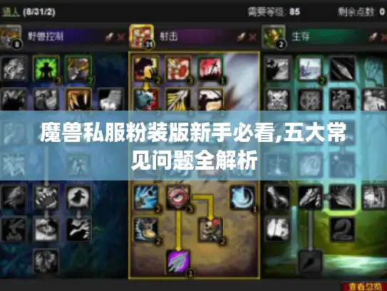 魔兽私服粉装版新手必看,五大常见问题全解析