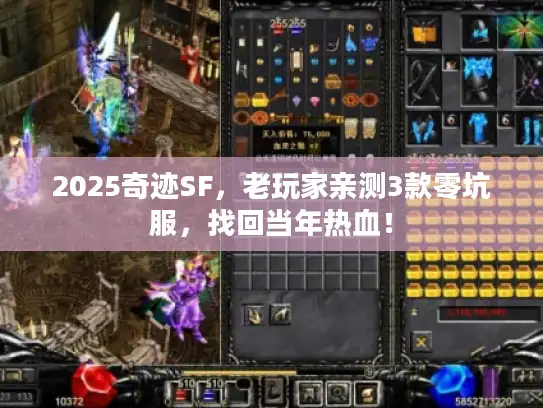 2025奇迹SF，老玩家亲测3款零坑服，找回当年热血！