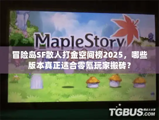 冒险岛SF散人打金空间榜2025，哪些版本真正适合零氪玩家搬砖？