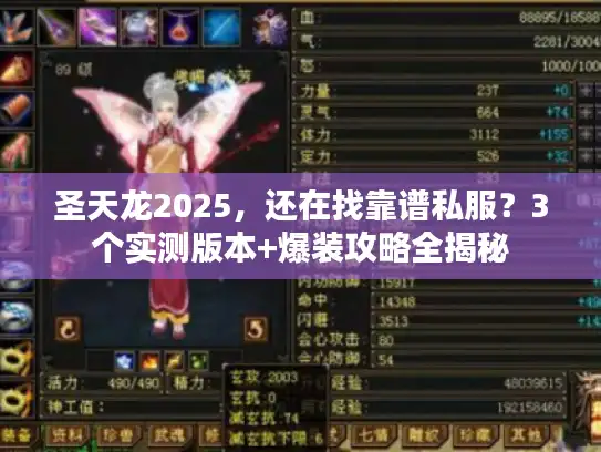 圣天龙2025，还在找靠谱私服？3个实测版本+爆装攻略全揭秘