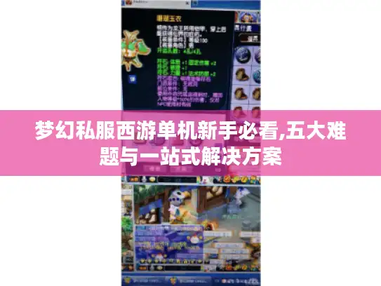 梦幻私服西游单机新手必看,五大难题与一站式解决方案