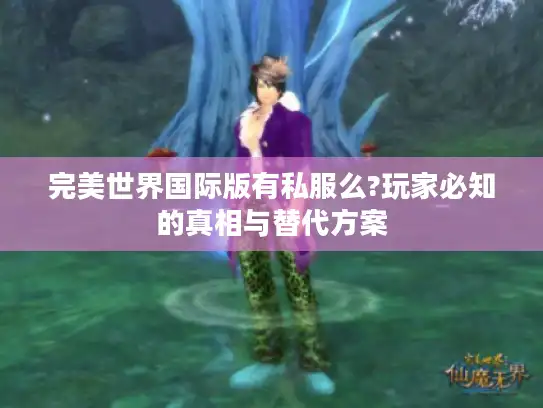 完美世界国际版有私服么?玩家必知的真相与替代方案