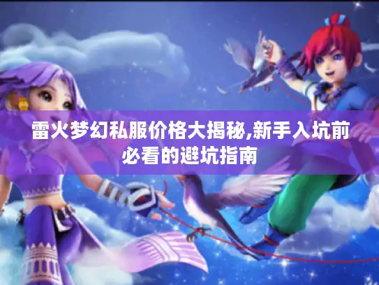 雷火梦幻私服价格大揭秘,新手入坑前必看的避坑指南