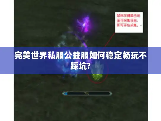 完美世界私服公益服如何稳定畅玩不踩坑?