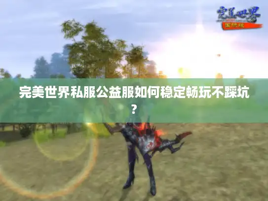 完美世界私服公益服如何稳定畅玩不踩坑?
