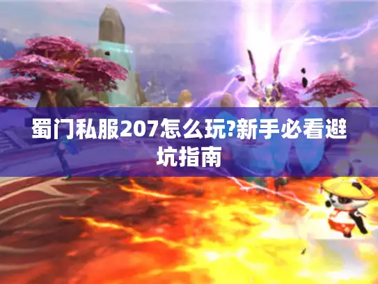 蜀门私服207怎么玩?新手必看避坑指南 蜀门私服207怎么玩?新手必看避坑指南