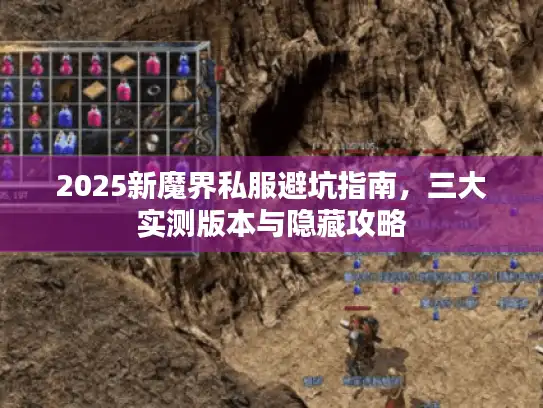 2025新魔界私服避坑指南，三大实测版本与隐藏攻略