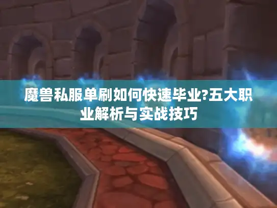 魔兽私服单刷如何快速毕业?五大职业解析与实战技巧