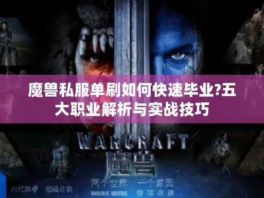 魔兽私服单刷如何快速毕业?五大职业解析与实战技巧