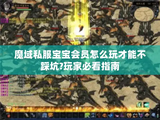 魔域私服宝宝会员怎么玩才能不踩坑?玩家必看指南