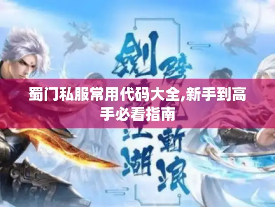 蜀门私服常用代码大全,新手到高手必看指南