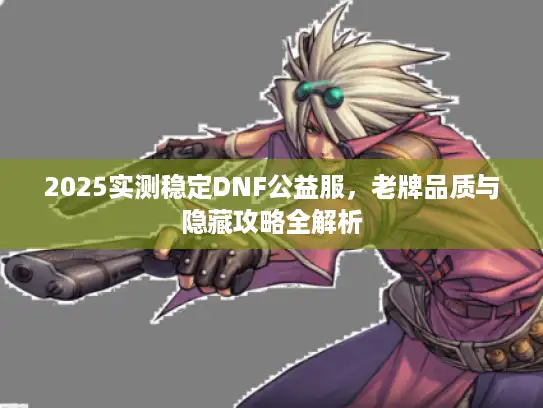 2025实测稳定DNF公益服，老牌品质与隐藏攻略全解析