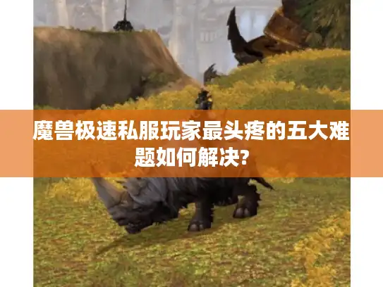 魔兽极速私服玩家最头疼的五大难题如何解决?