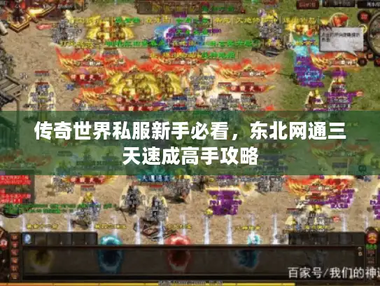 传奇世界私服新手必看，东北网通三天速成高手攻略