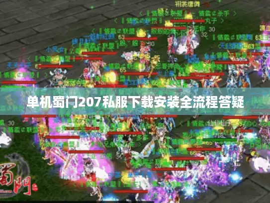 单机蜀门207私服下载安装全流程答疑