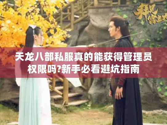 天龙八部私服真的能获得管理员权限吗?新手必看避坑指南