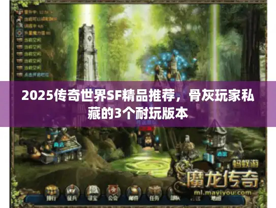 2025传奇世界SF精品推荐，骨灰玩家私藏的3个耐玩版本