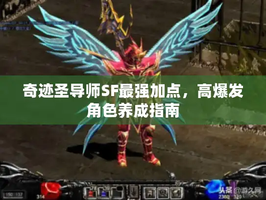 奇迹圣导师SF最强加点，高爆发角色养成指南