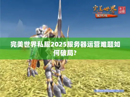 完美世界私服2025服务器运营难题如何破局?