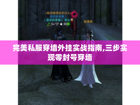 完美私服穿墙外挂实战指南,三步实现零封号穿墙