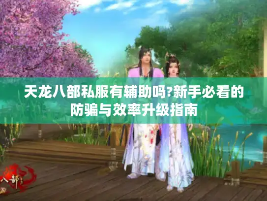天龙八部私服有辅助吗?新手必看的防骗与效率升级指南