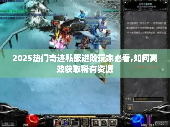 2025热门奇迹私服进阶玩家必看,如何高效获取稀有资源