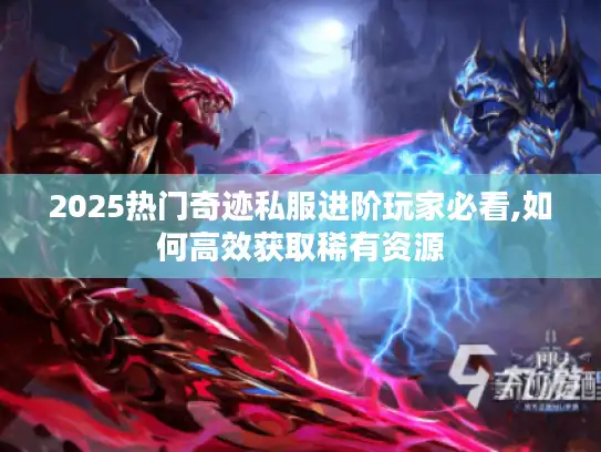 2025热门奇迹私服进阶玩家必看,如何高效获取稀有资源